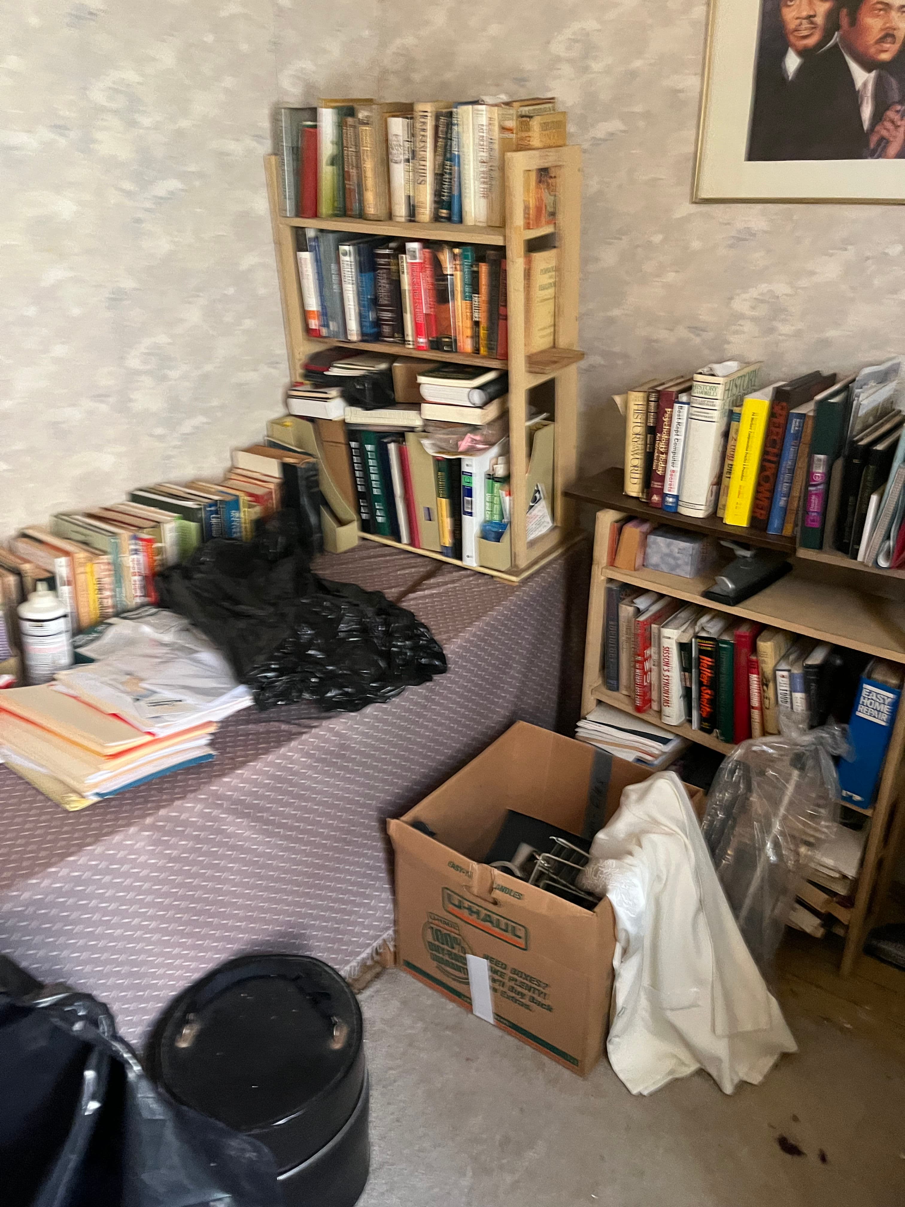 Project From Cluttered Chaos to Clean Precision in Your Basement image