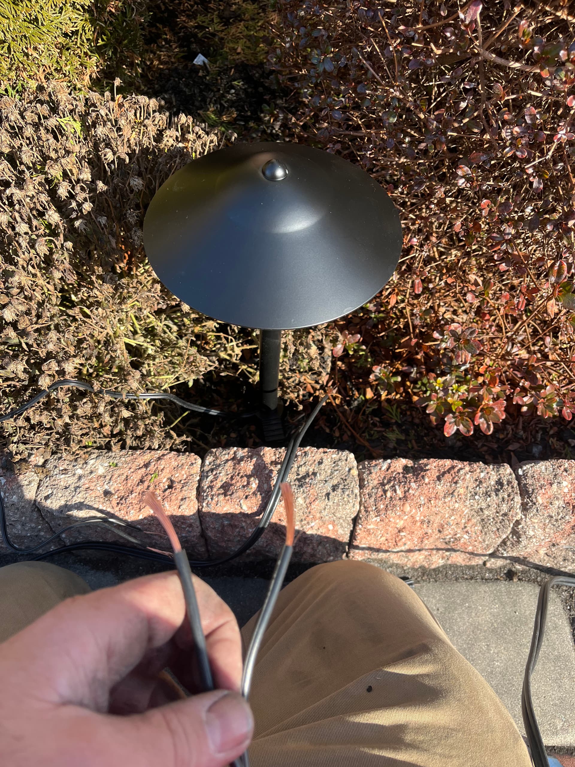 Gallery photos for Enhance Nighttime Curb Appeal with Stunning Landscape Lighting: Image #2