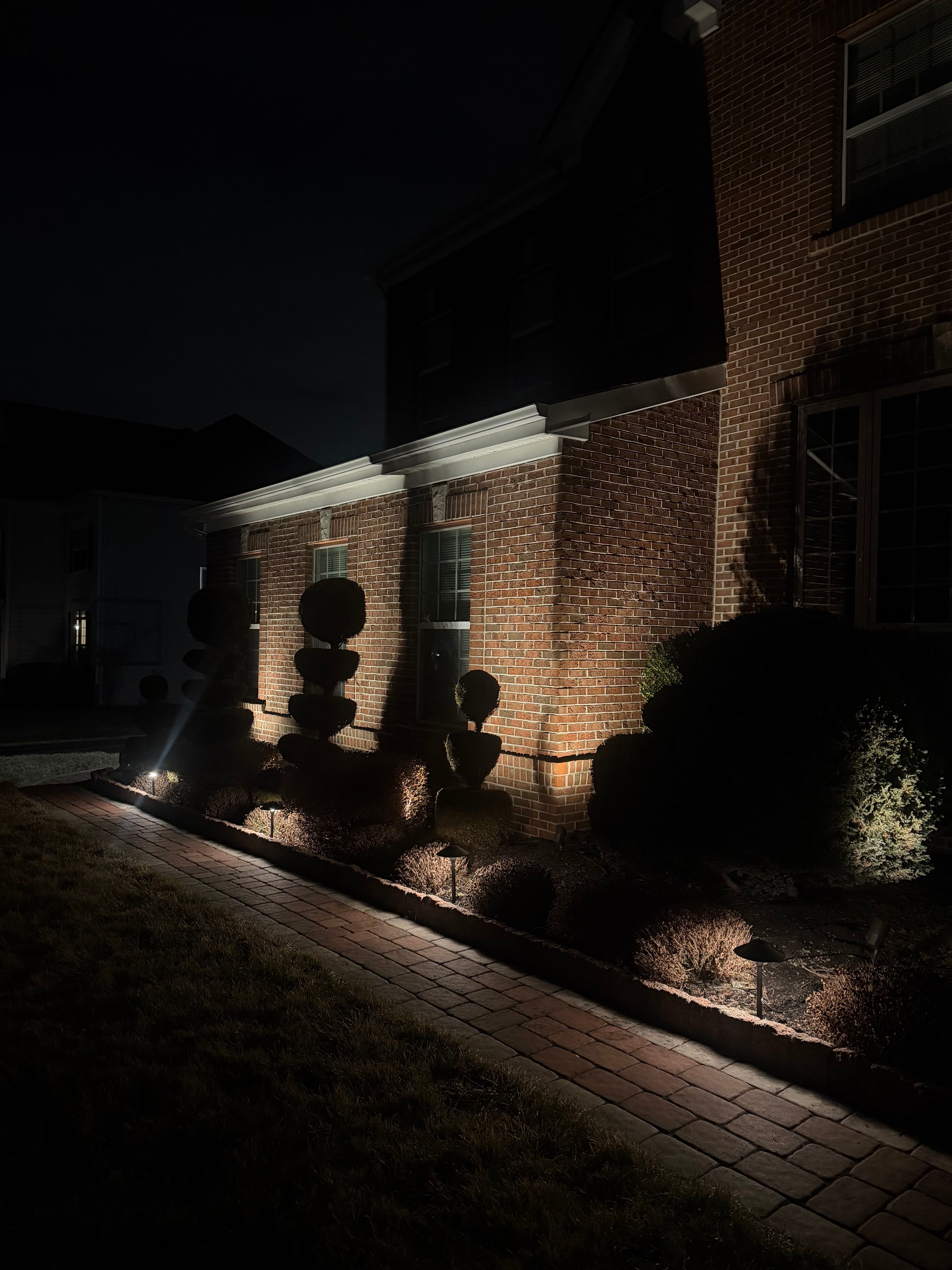 Project Enhance Nighttime Curb Appeal with Stunning Landscape Lighting image