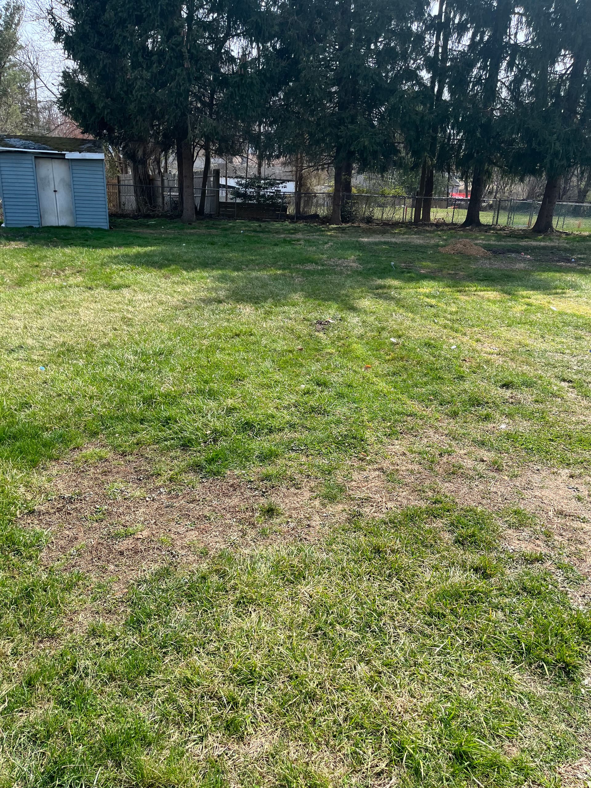 From Cluttered Construction Site to Beautiful Backyard