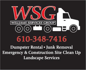 WSG Unveils Fresh New Logo and Services Update