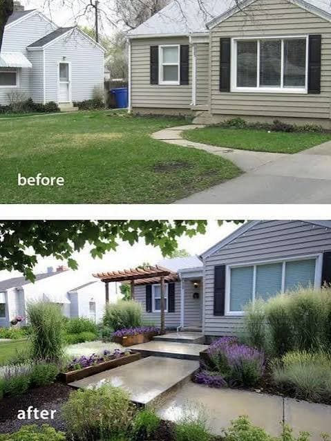 Yard Makeover Transforms Outdoor Space image