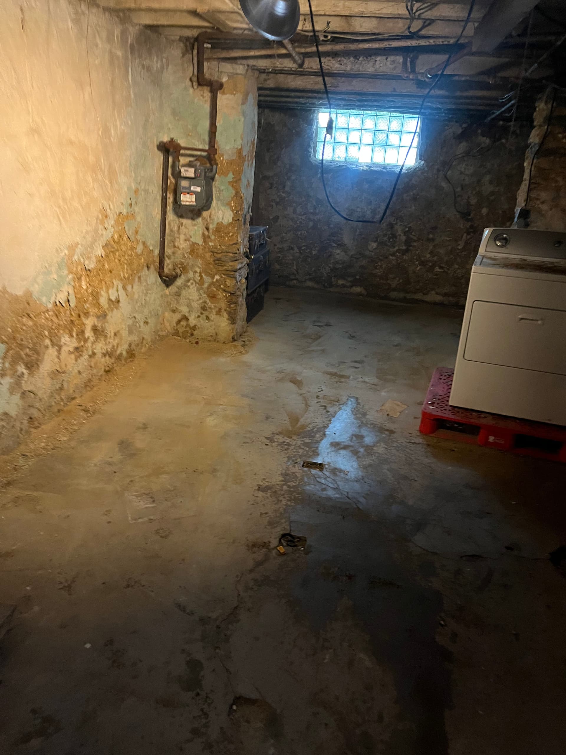 Gallery photos for From Cluttered Chaos to Clean Precision in Your Basement: Image #2