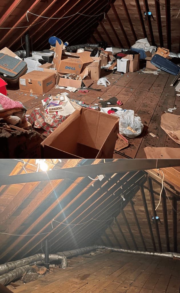 Attic Organized and Cleared image